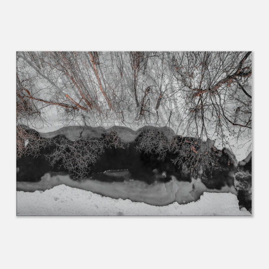 2f62640d-df92-4c74-beee-7f16f6d5bd8c