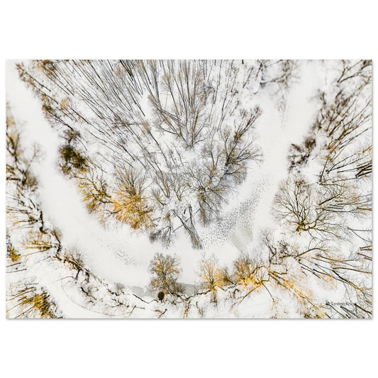 5561e743-7ba8-4636-8481-fc95b2c2f444