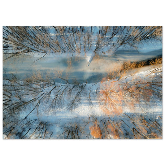 7555720c-7095-43cd-b69b-f6173a2b0041