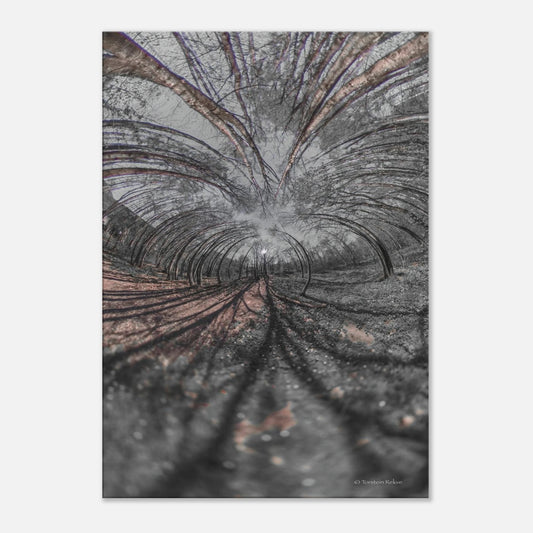 b5f46d39-db74-4e9f-b6ea-04f035704150