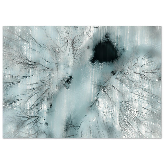 c7eea54c-5b45-4f19-91f8-477062659086