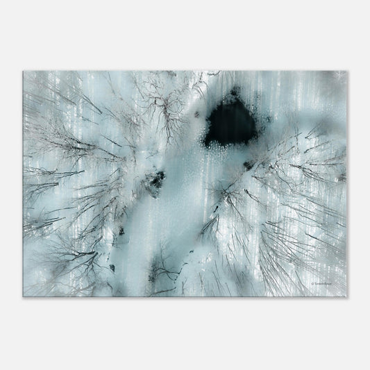 ca9c2ff9-deef-407d-bc8a-b5ed3c6798a0