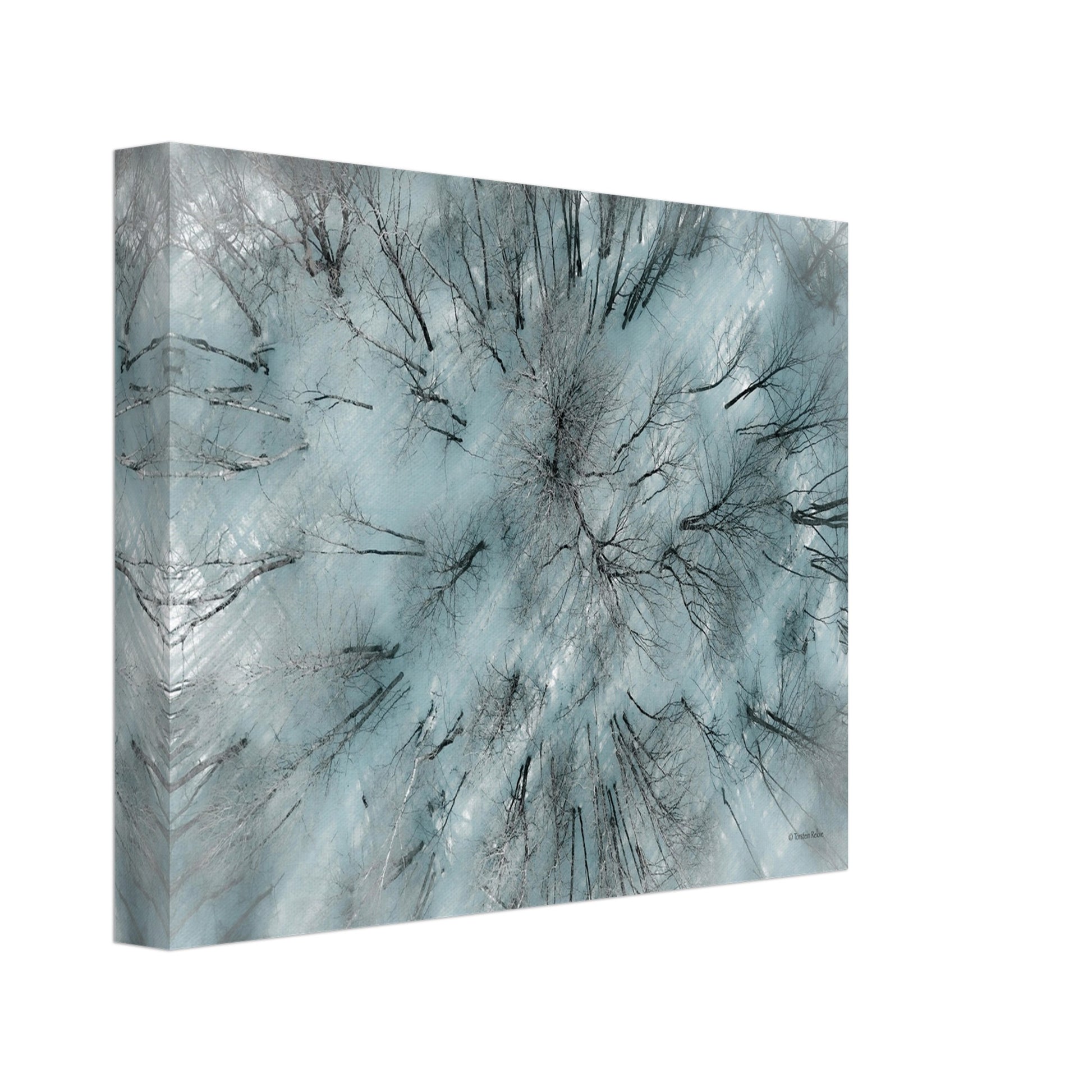 00d83336-a380-4ad7-91ec-03d91e77b63a