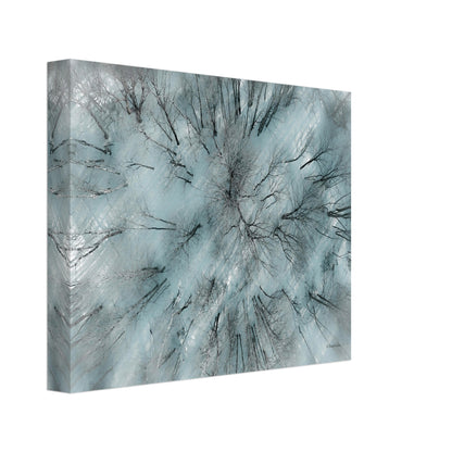 00d83336-a380-4ad7-91ec-03d91e77b63a