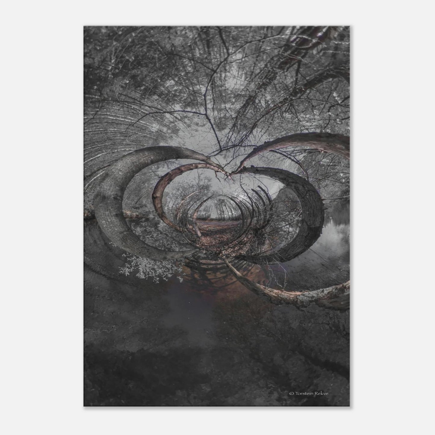 04c6d2a1-7a9d-4551-97a7-b2986d59ae6f