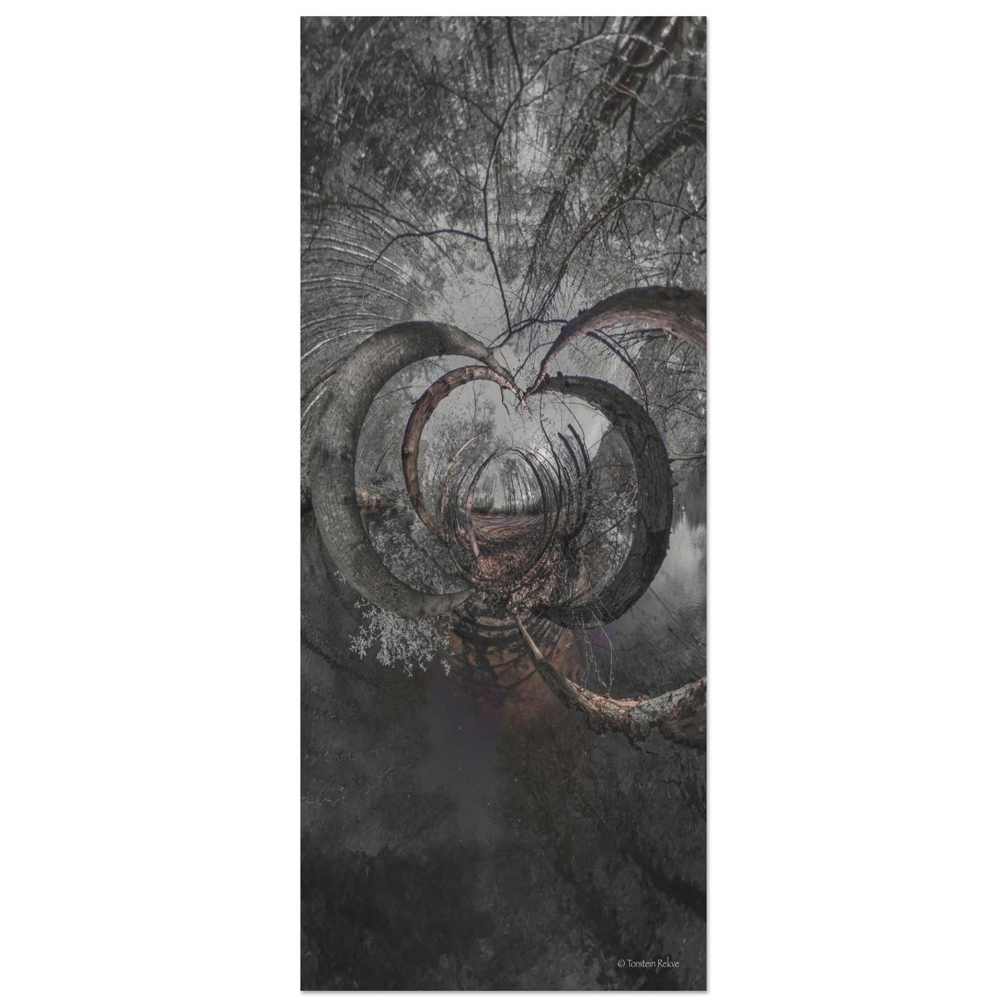 0f542682-9764-4a6c-90c6-7ac005d1bad5