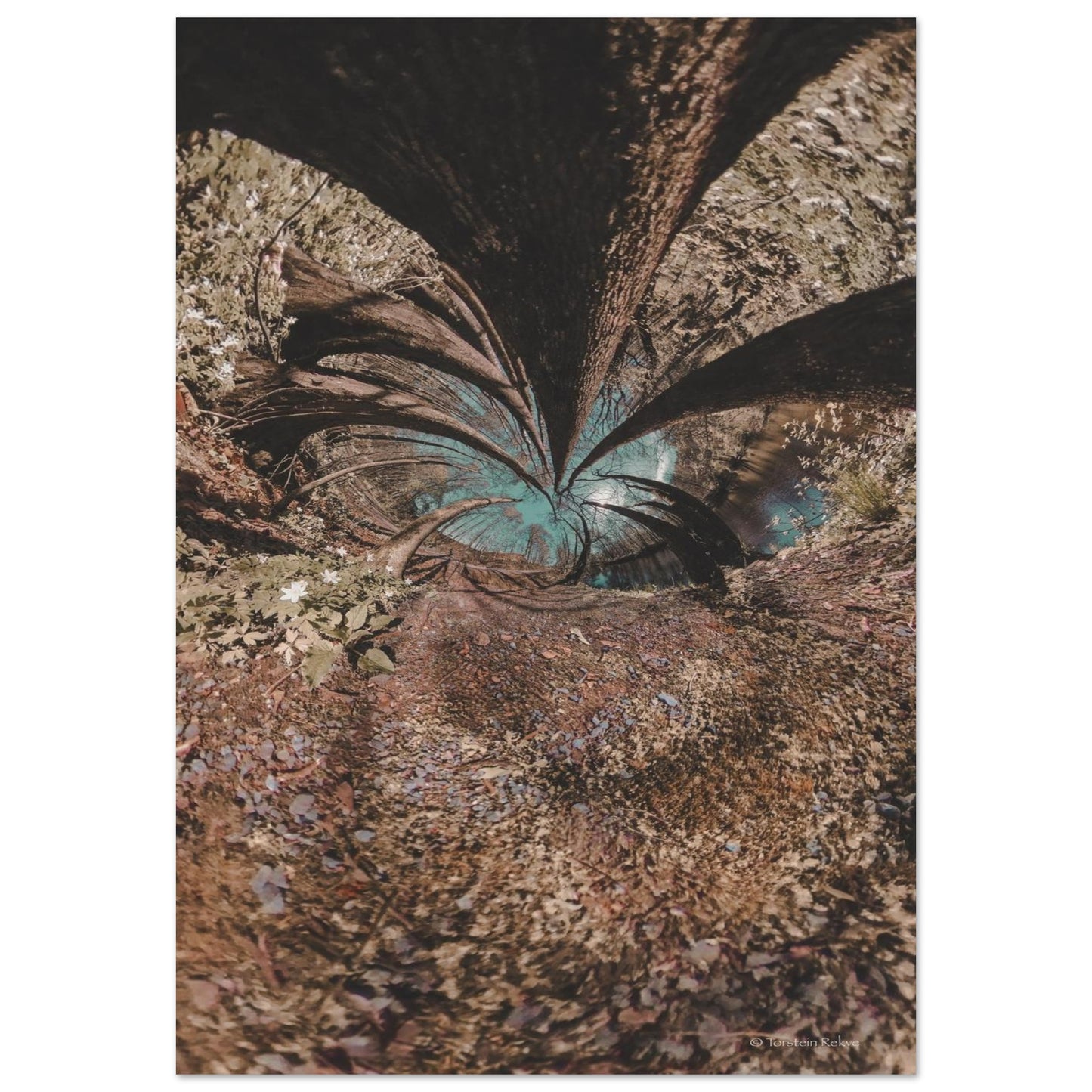 0fdb6033-6313-4f40-b3ca-c394a9c5a87c