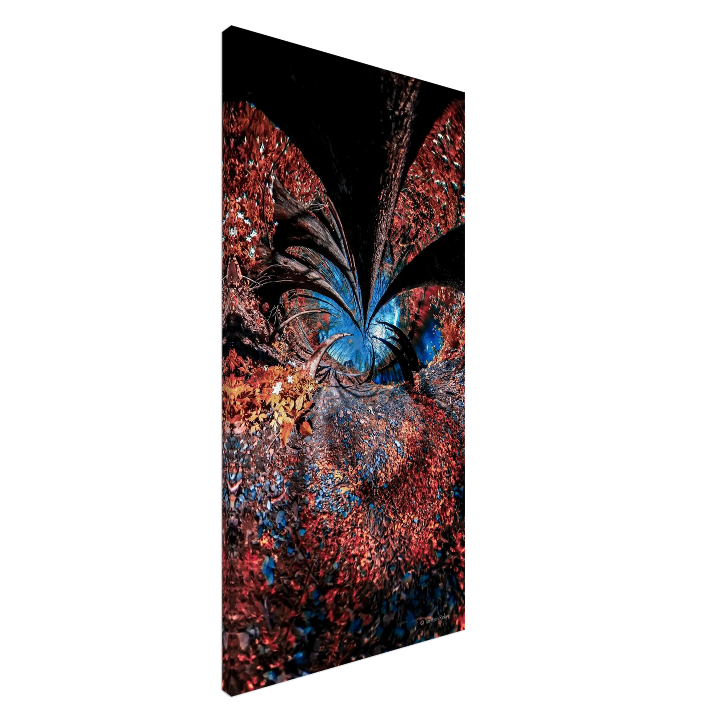 11c046c8-b33d-4d1b-8ee5-753dad6861f3