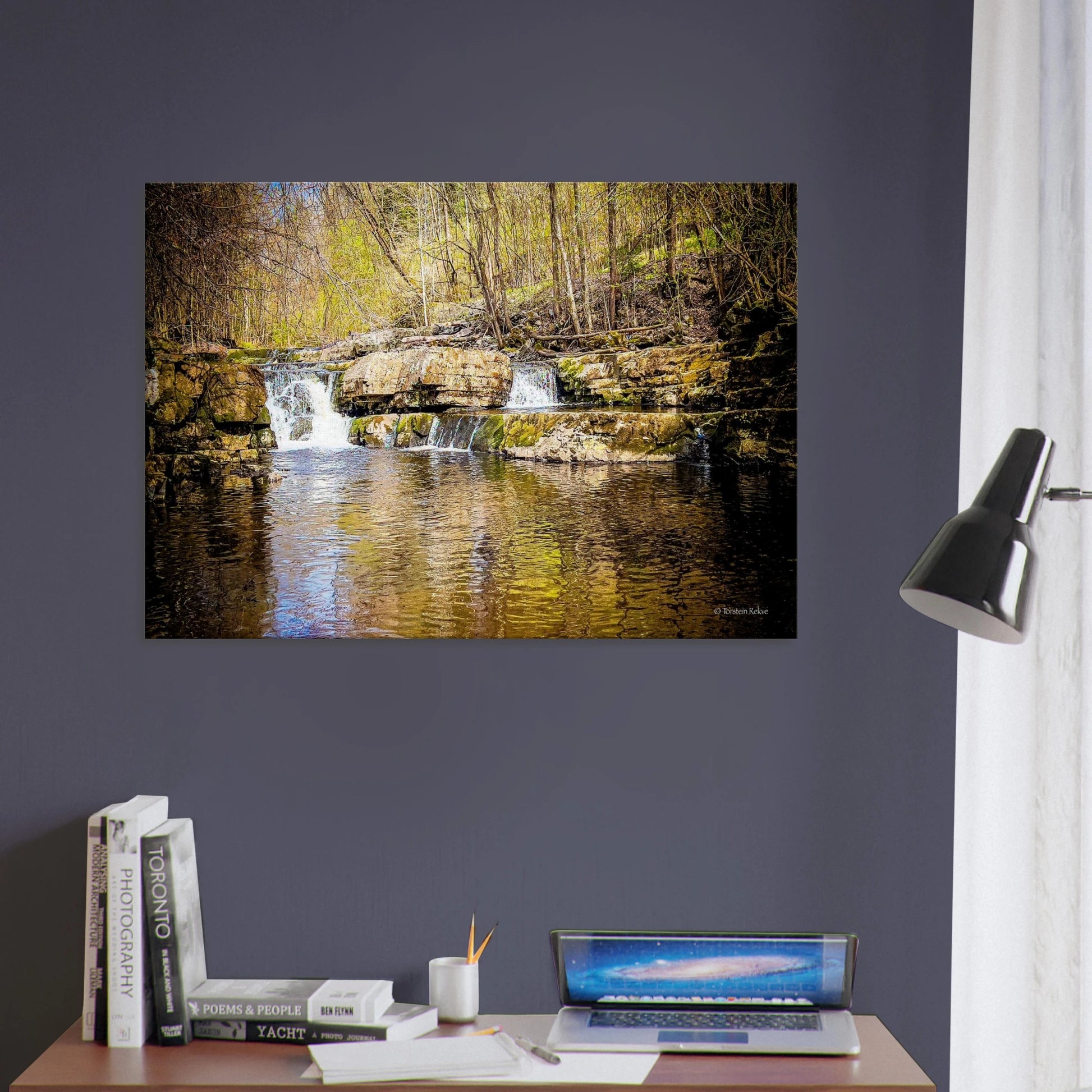 12432574-bd5d-4c2f-9141-15d29565dac7