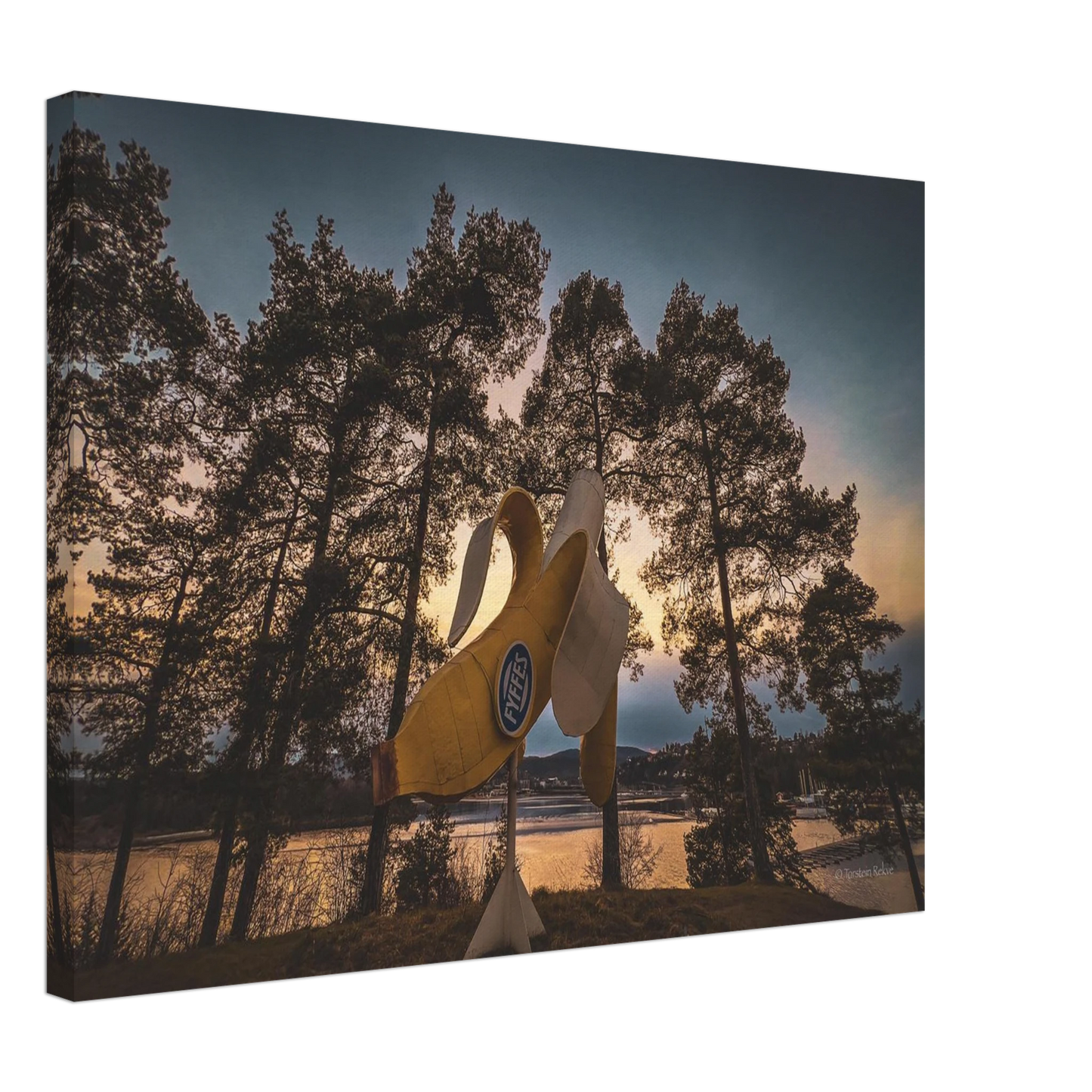 15a50bbc-c8ae-4cd3-9e31-81d0031e695e