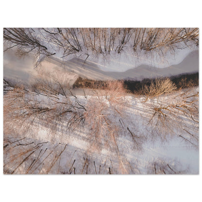 15f1dd28-d2a0-4b26-bf97-8626e1d0450a