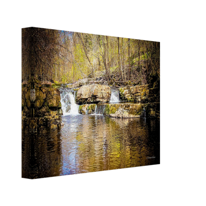 1bd4c859-68a7-472c-90a1-8e821d3f22c9