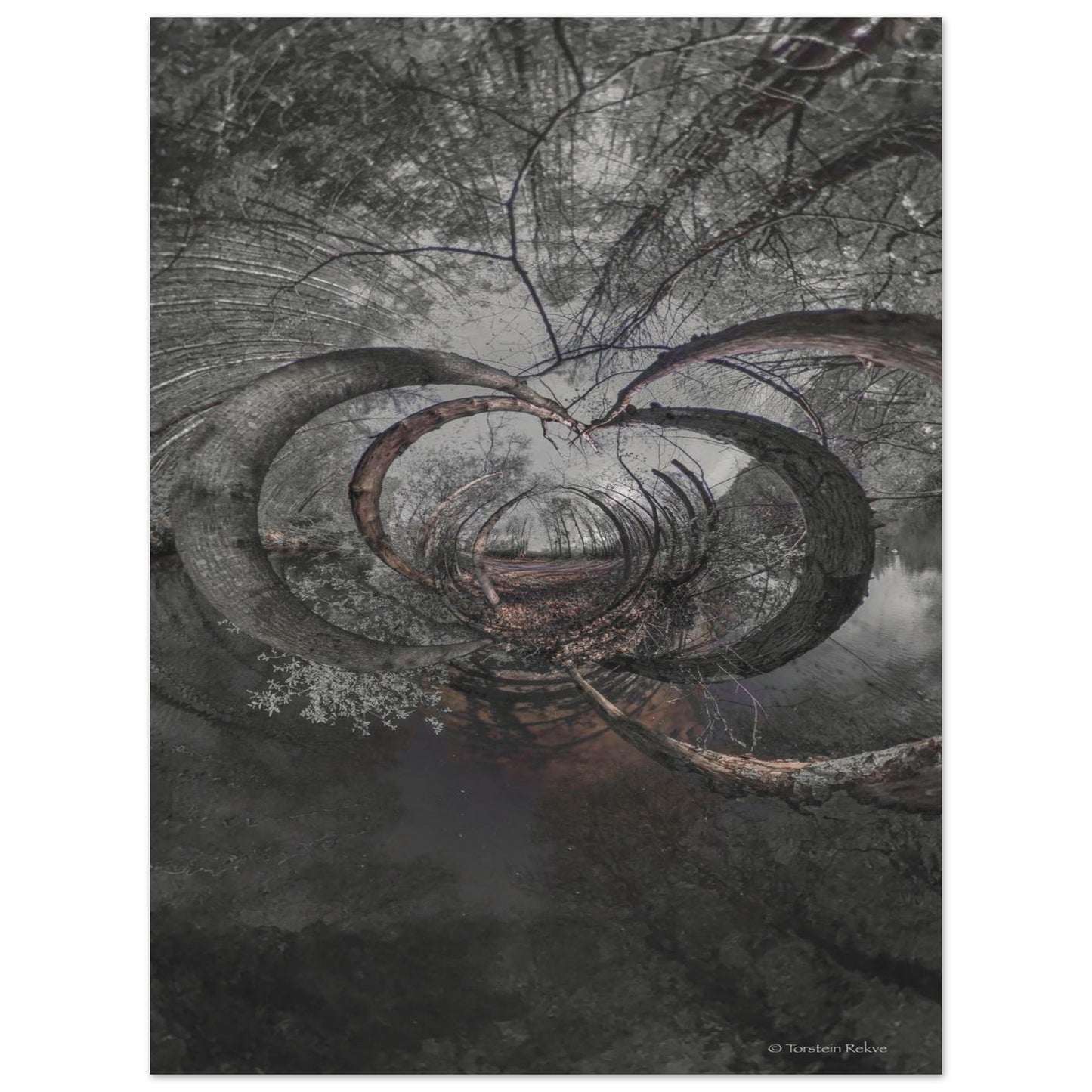 1e537846-aa5f-4864-8545-cd321f0ce19e