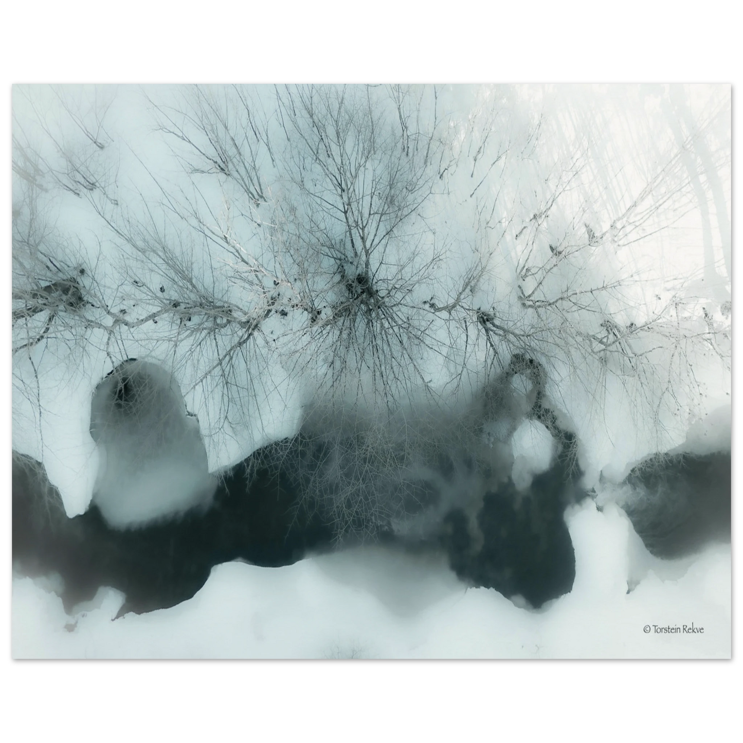 2645c8e0-b283-4a7f-88f4-dfffcd106a49