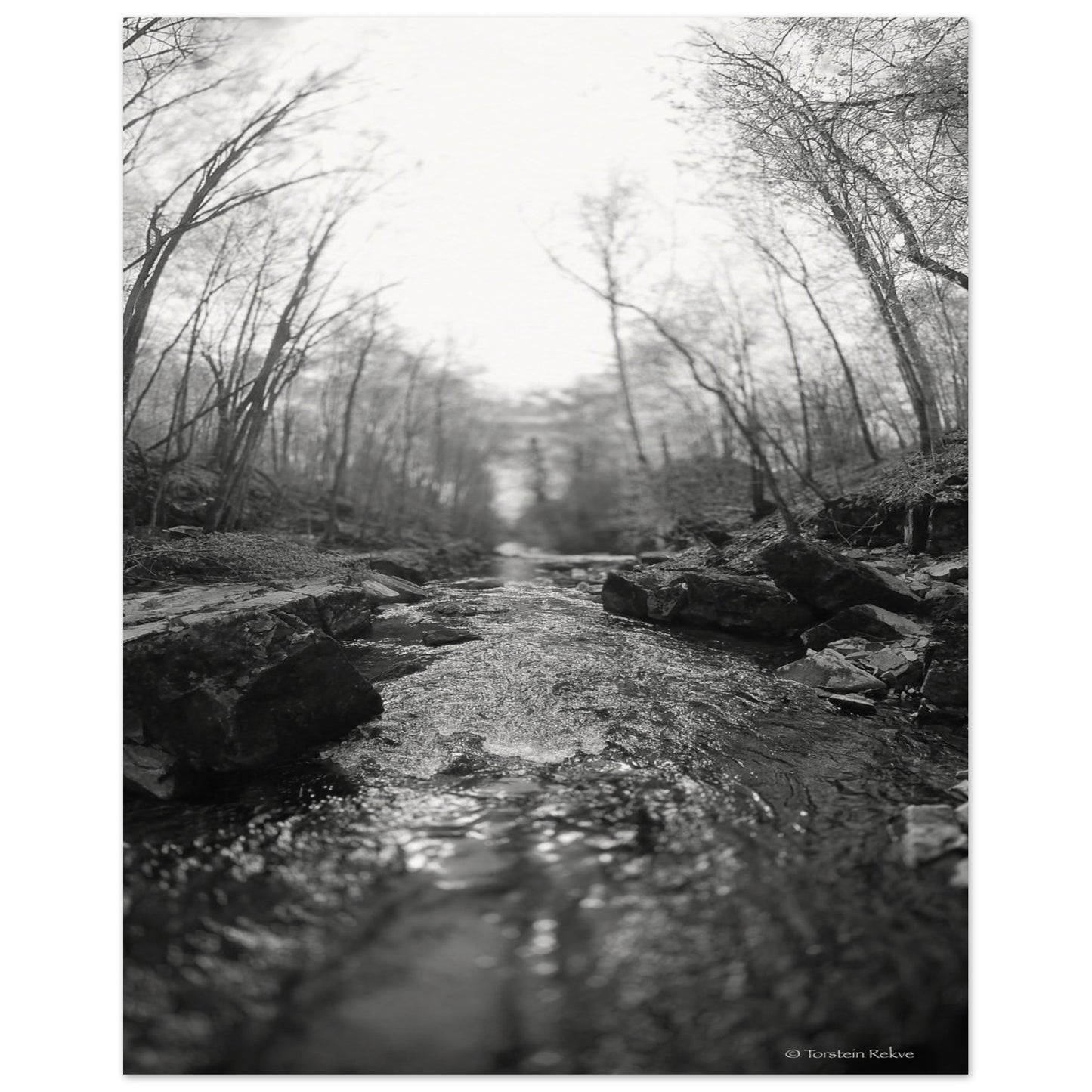 26a05703-74b8-4aec-94ee-8aa6c0267d52