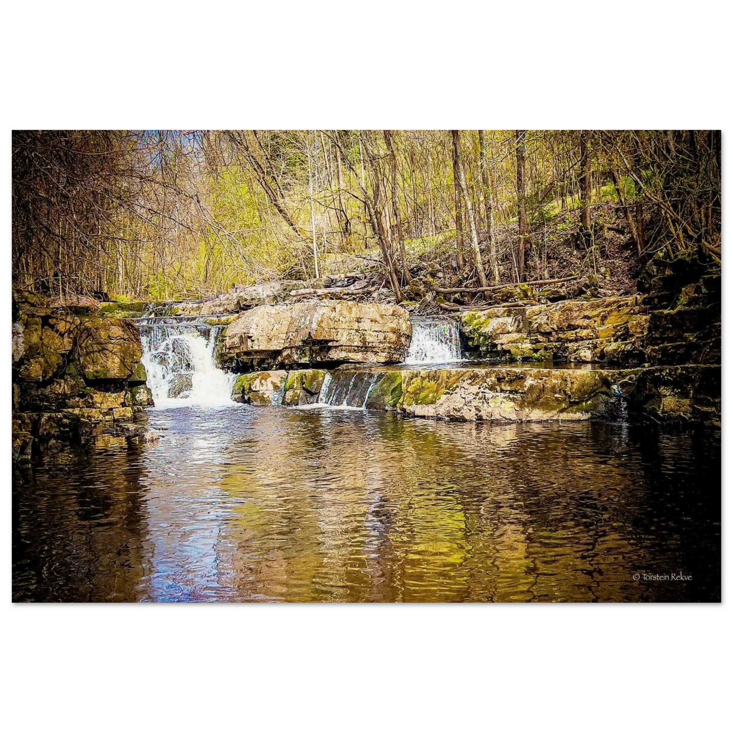 299a0646-6a39-4c57-9faa-0b7e9ccb07cc