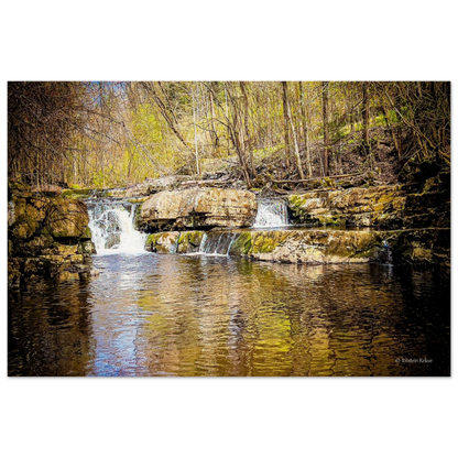 299a0646-6a39-4c57-9faa-0b7e9ccb07cc