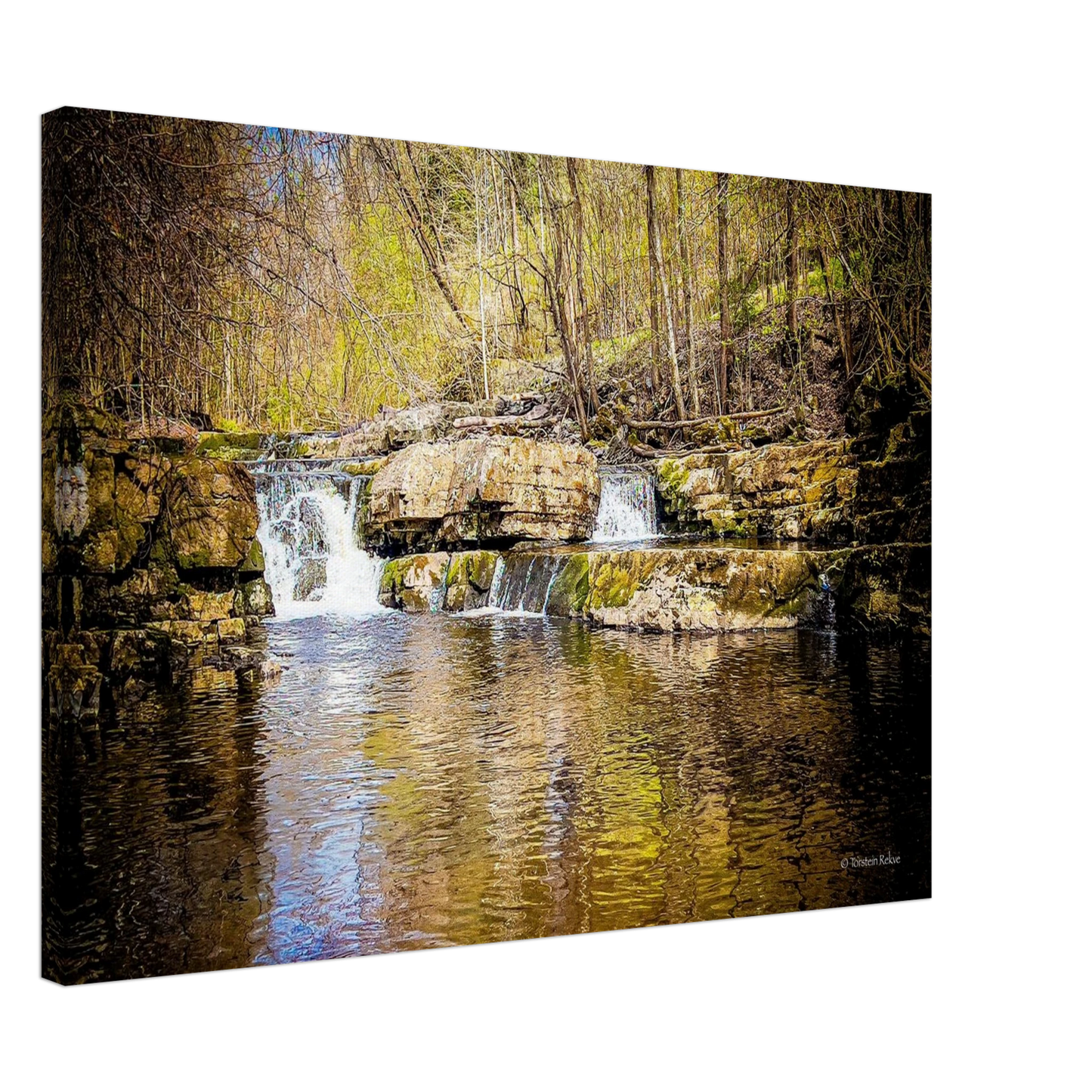 2a1f915a-fcbe-4c39-867d-3ea60b7e1367