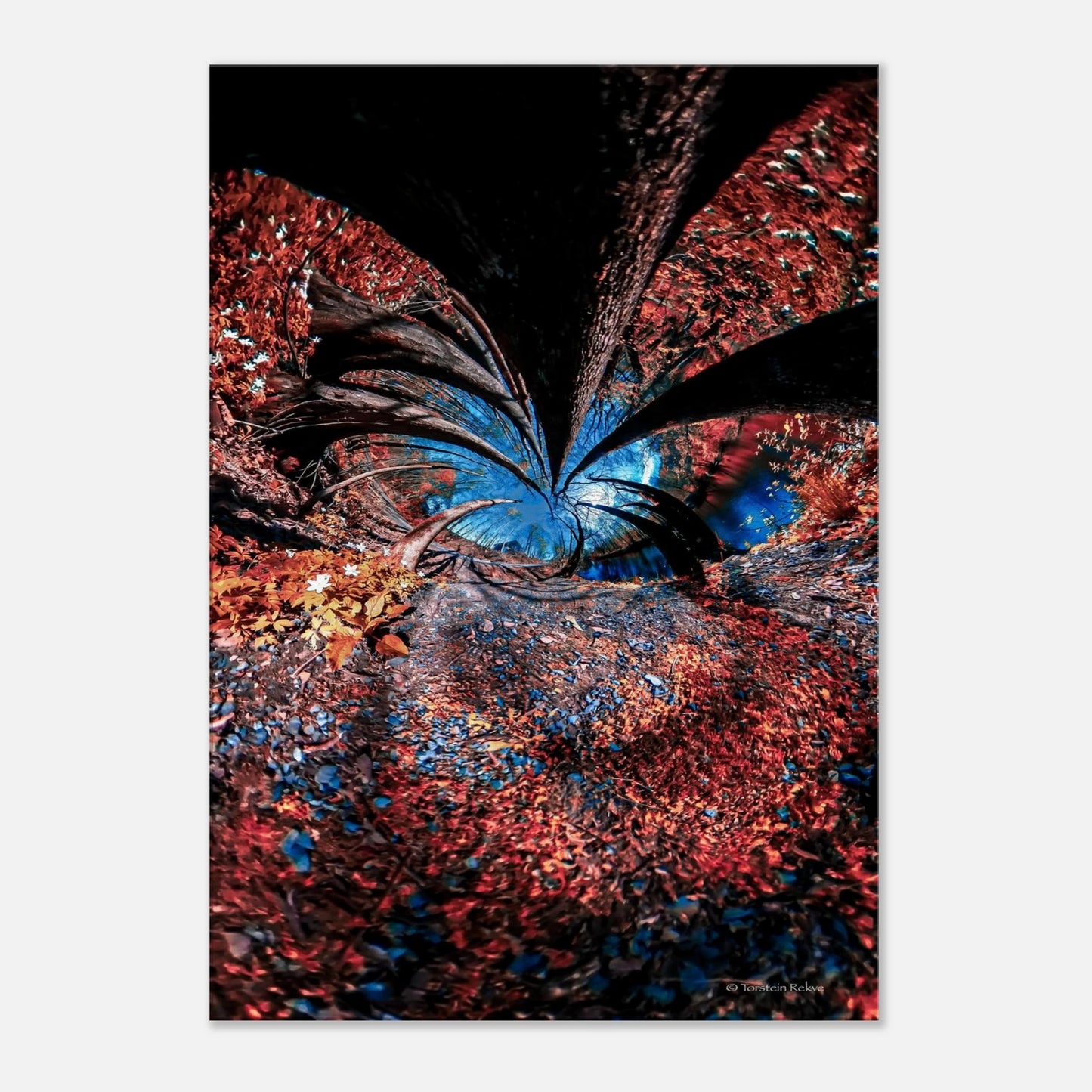 2b4bd2da-e785-49ec-958f-5a35e979cd79