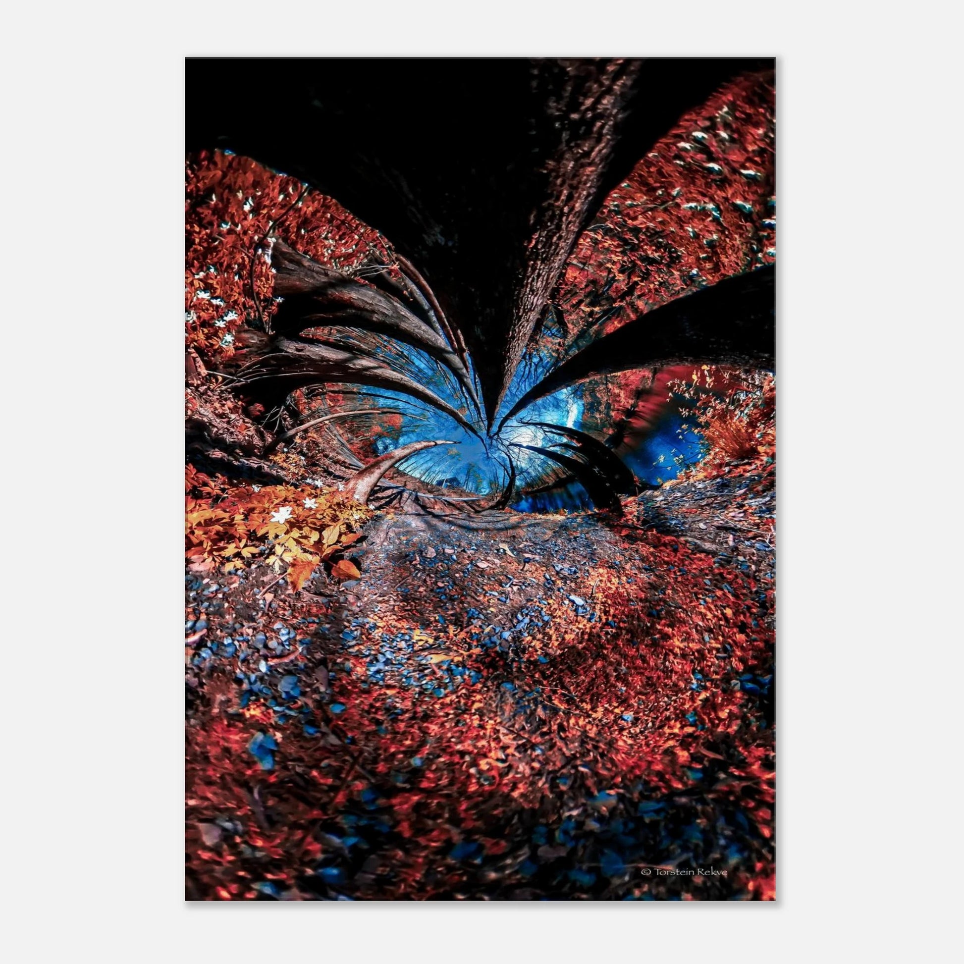 2b4bd2da-e785-49ec-958f-5a35e979cd79