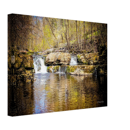 2b55ced5-e09d-4a82-934c-b9ff0da74b5b