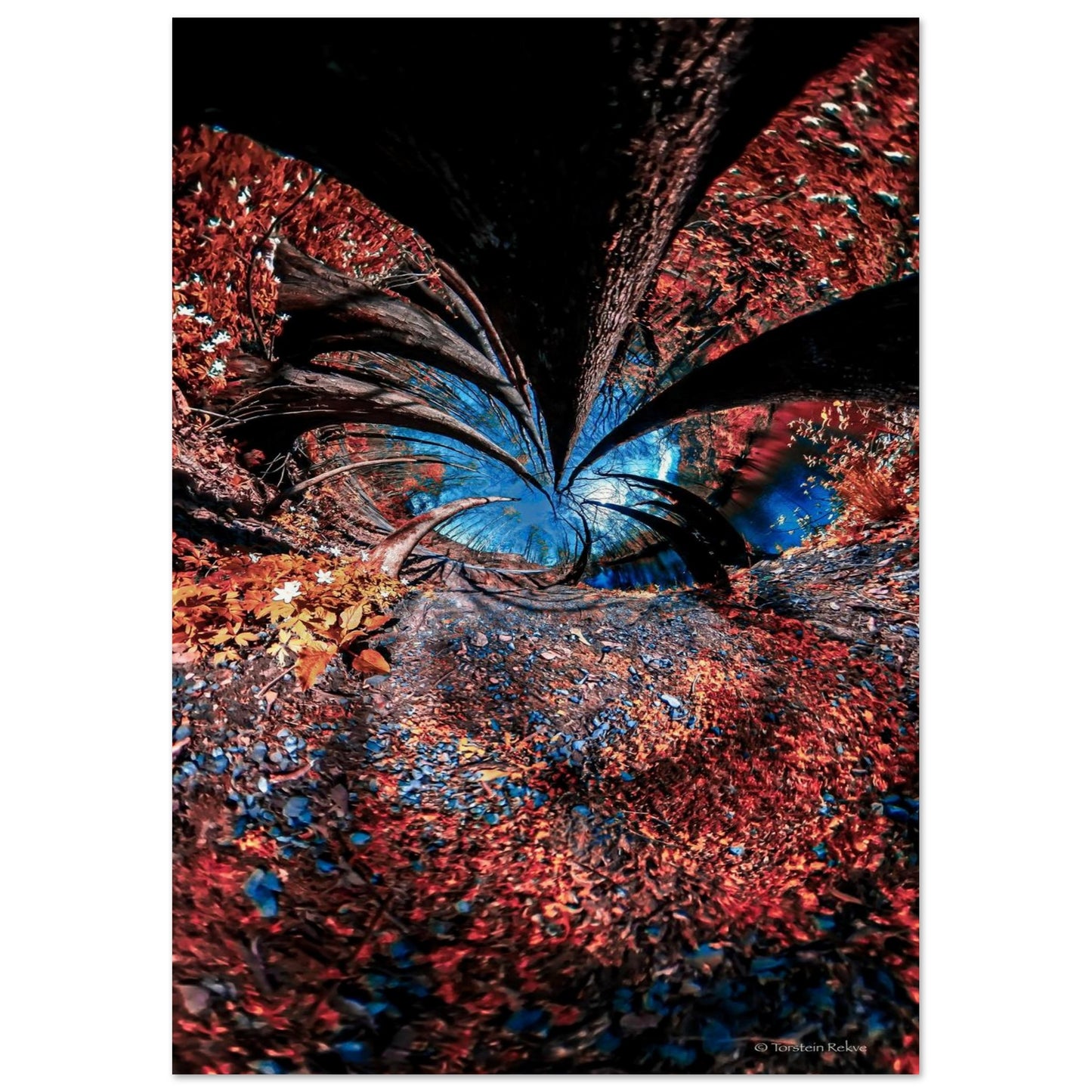 355ed906-2a0e-4156-af4f-f9539232b22c