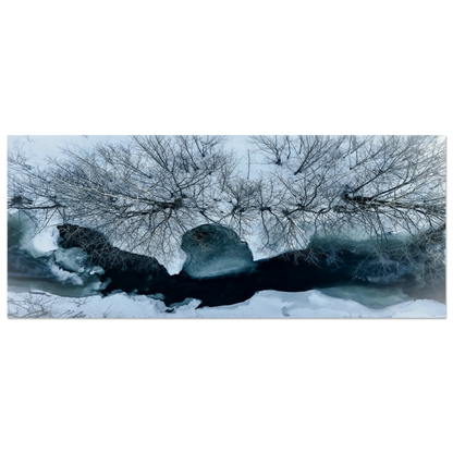 3c1e4cd4-2b2c-4fcb-8bbd-7d669c44bb69