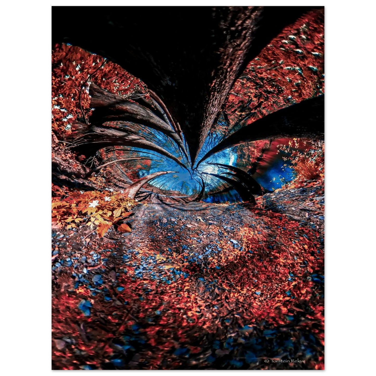 3ec038d5-cc8f-4598-abba-f4098f8a807f