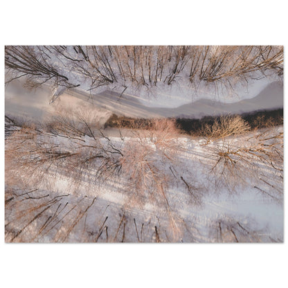 4069aa09-6696-40a3-bec4-212bc0c4d21f
