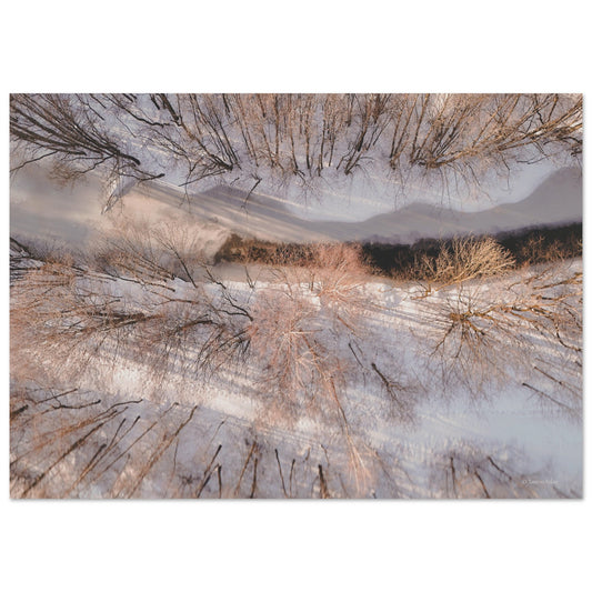 4069aa09-6696-40a3-bec4-212bc0c4d21f