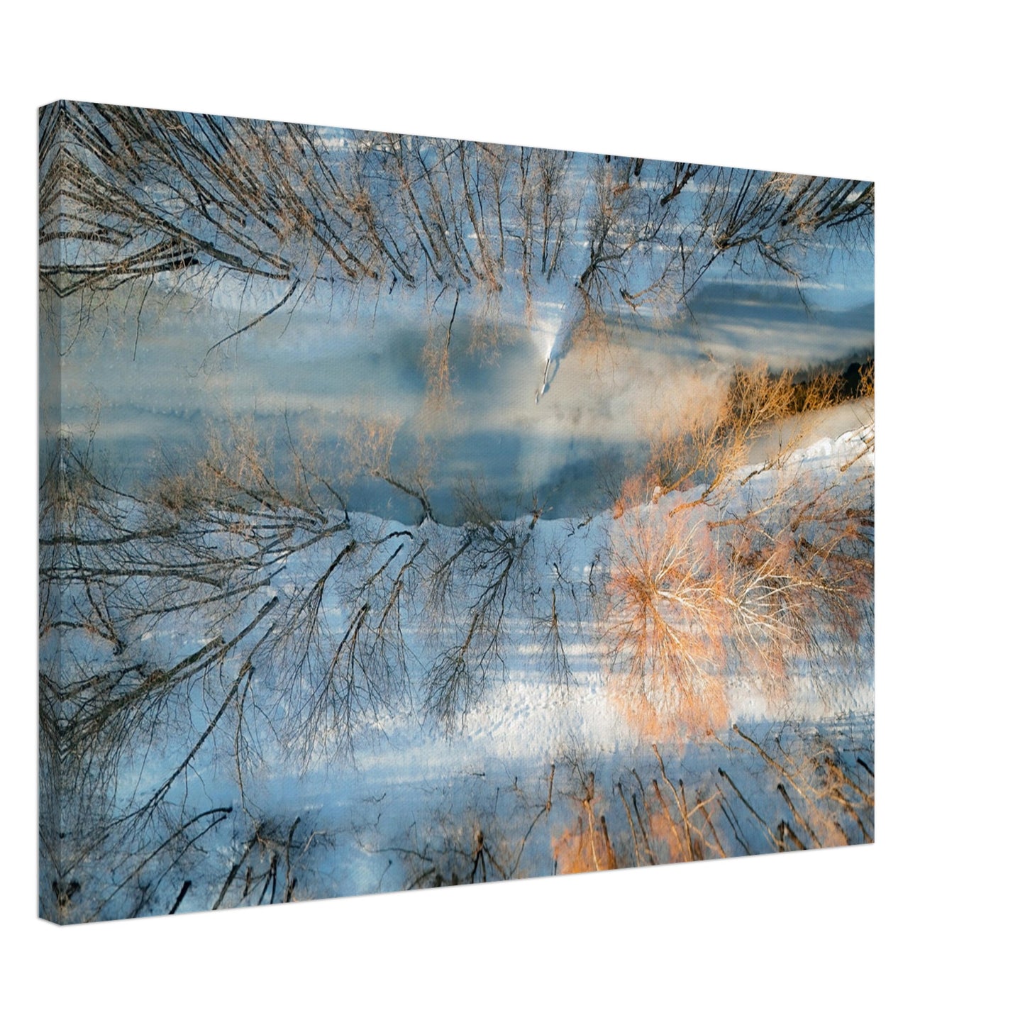 41d3ee1d-770f-4f49-9f80-94ad14702f8b