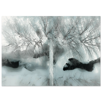 427fa244-c276-40f3-9d3e-38b1c075c012