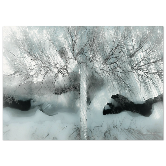 427fa244-c276-40f3-9d3e-38b1c075c012