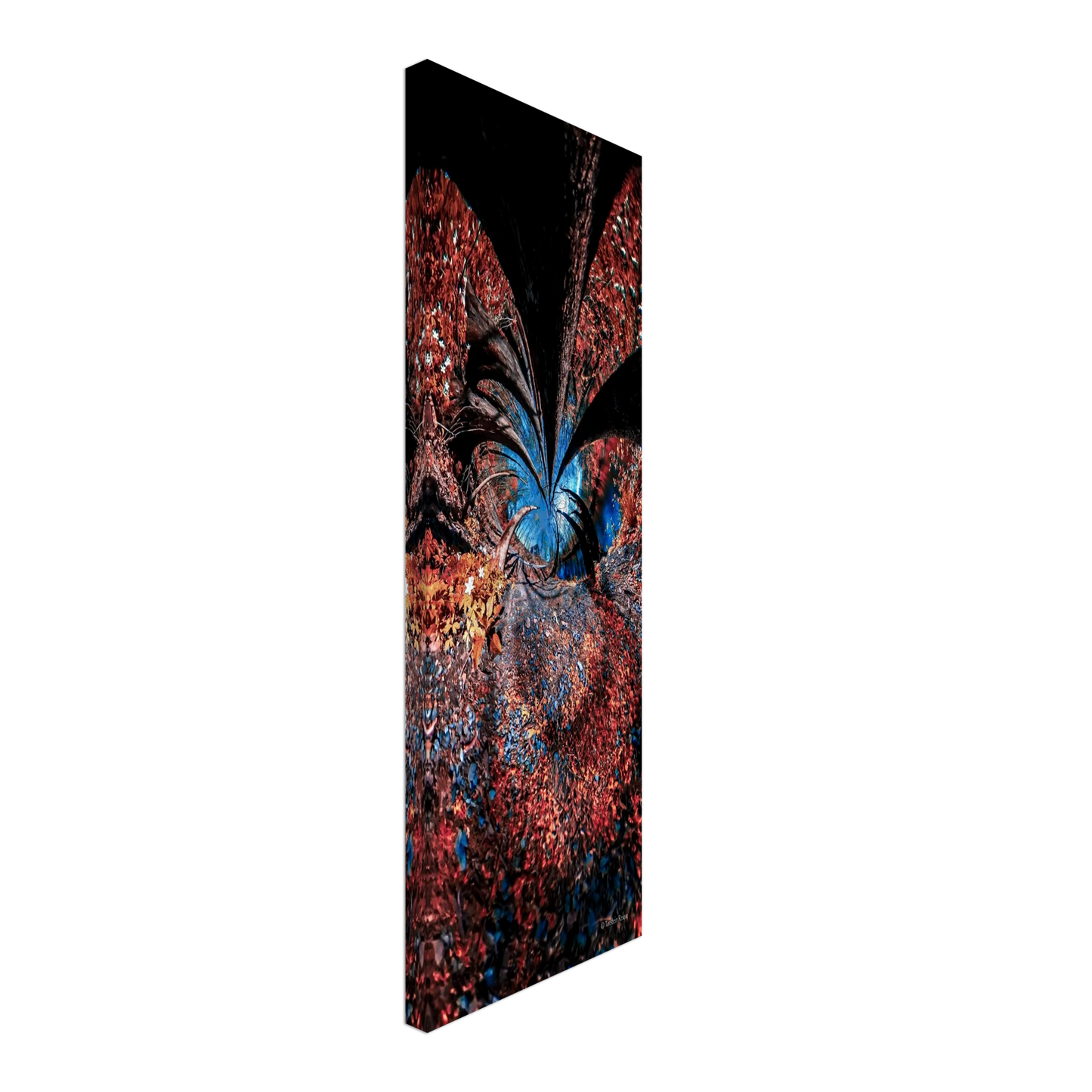 443df08d-029a-4582-a370-d5027c1c1676