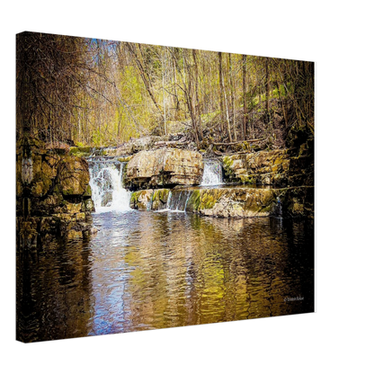 4801254f-b03e-40f0-8753-a0368a7f32a2