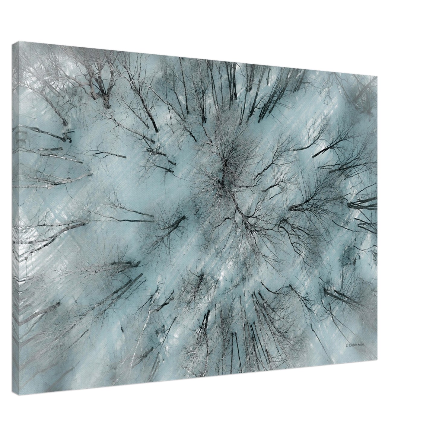 492ecdde-8b61-48c5-886d-28e929b41a14