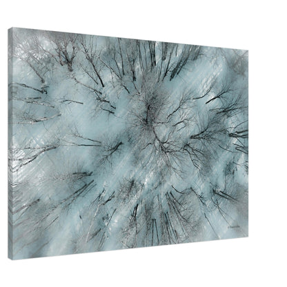 492ecdde-8b61-48c5-886d-28e929b41a14