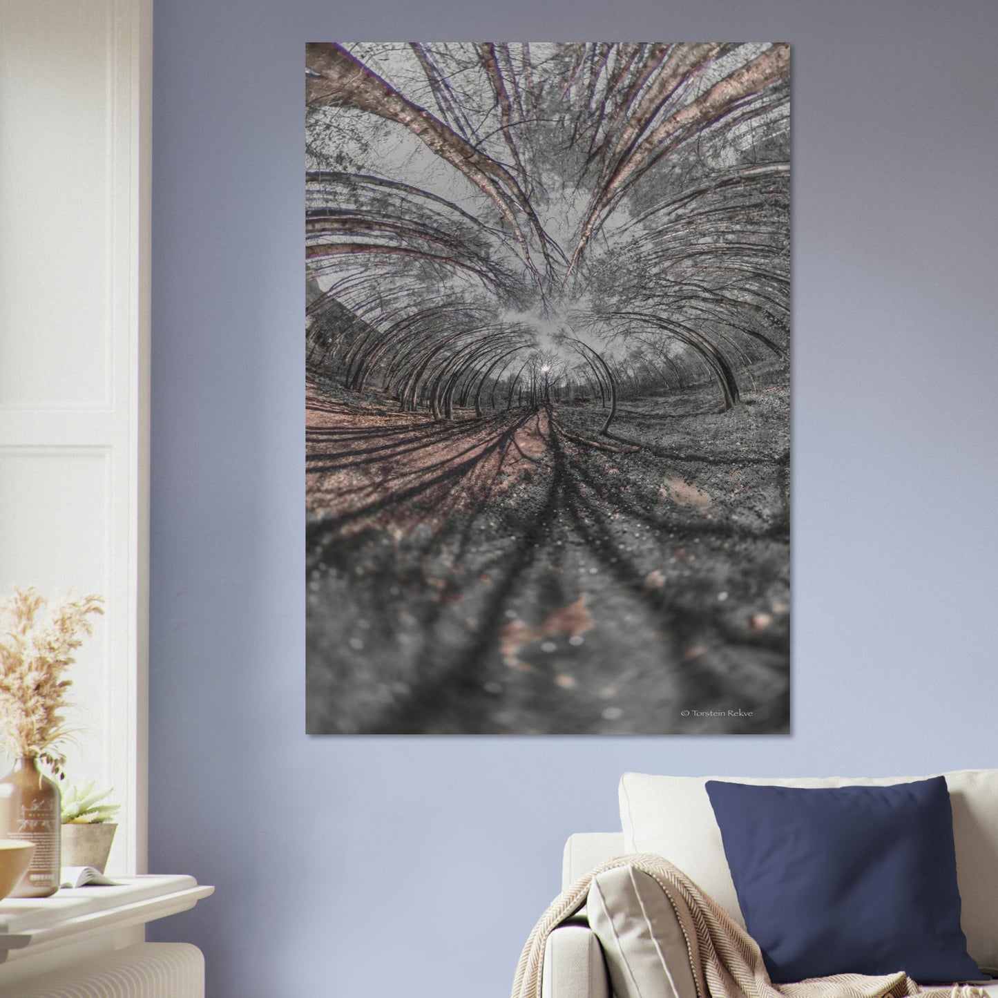 50321508-a864-49e7-a994-2625c5905a3c