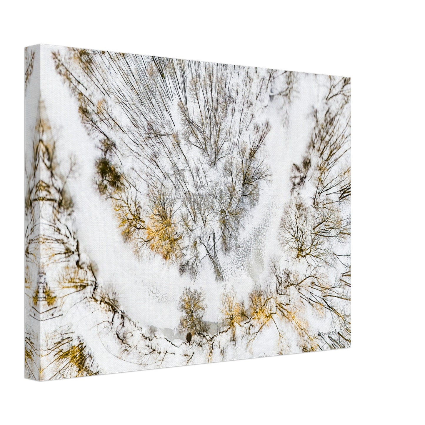 54da2582-3025-432f-ac69-8ec7270ab1d9