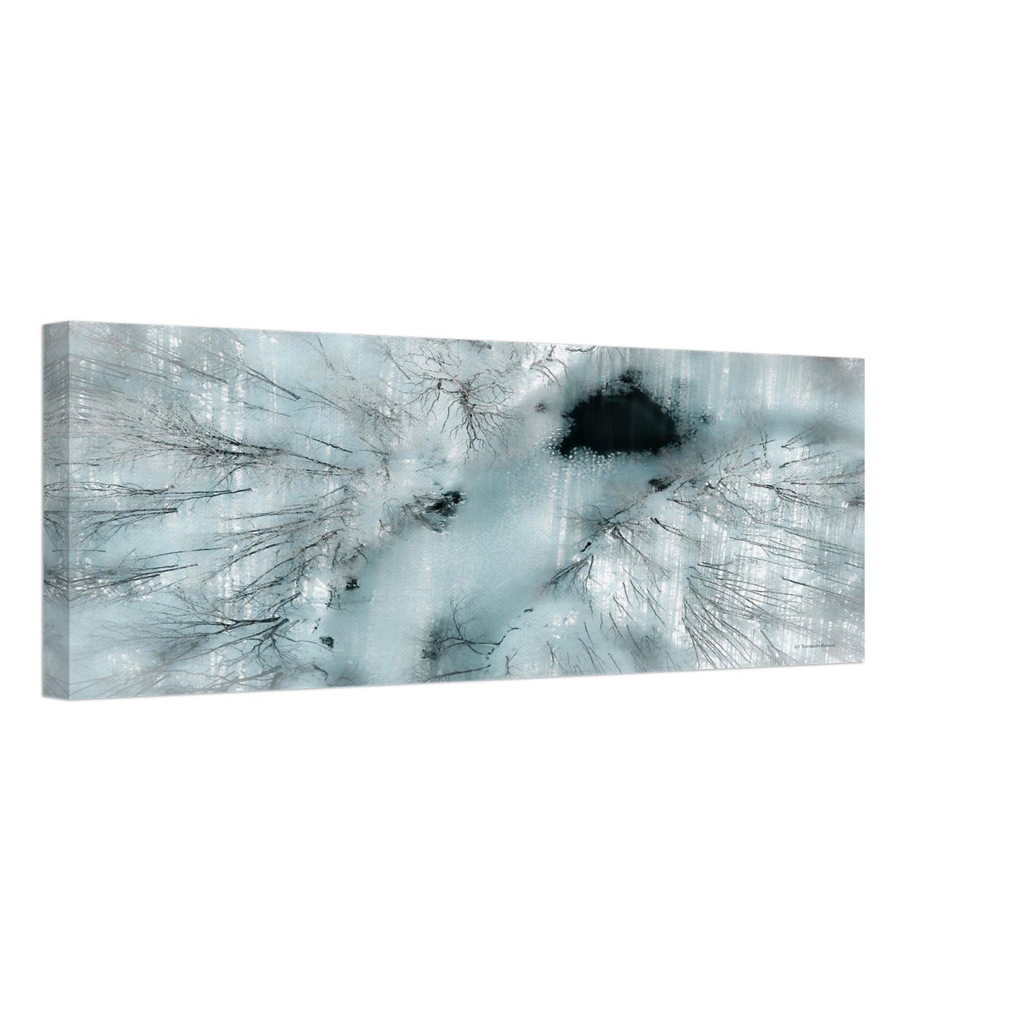 55ef6544-8ecc-4a3d-8b69-e95179b0657c