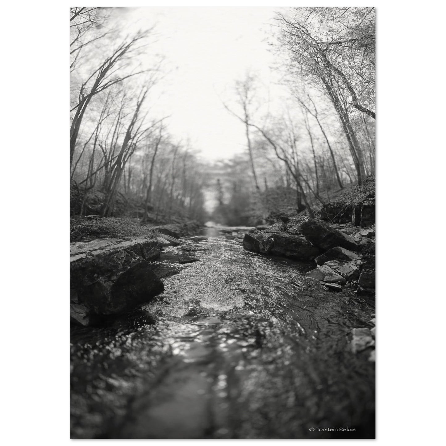 56bca607-9358-407c-a4e3-6c113eaee8e6