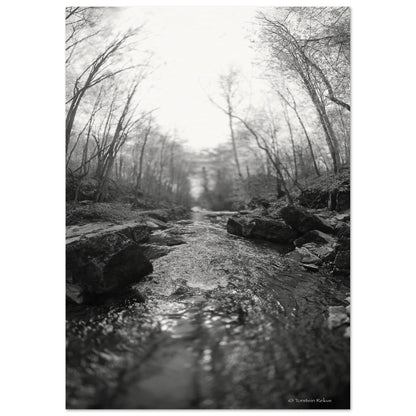 56bca607-9358-407c-a4e3-6c113eaee8e6