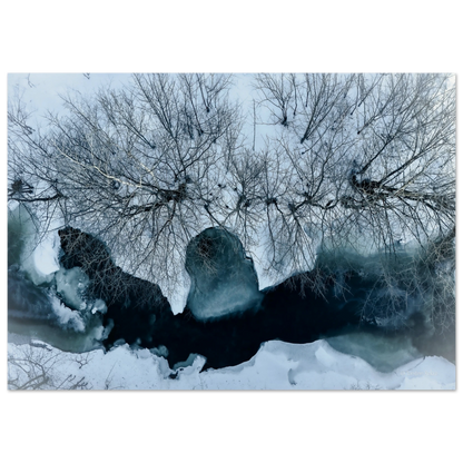 58973556-206c-4d05-a013-868584e69414