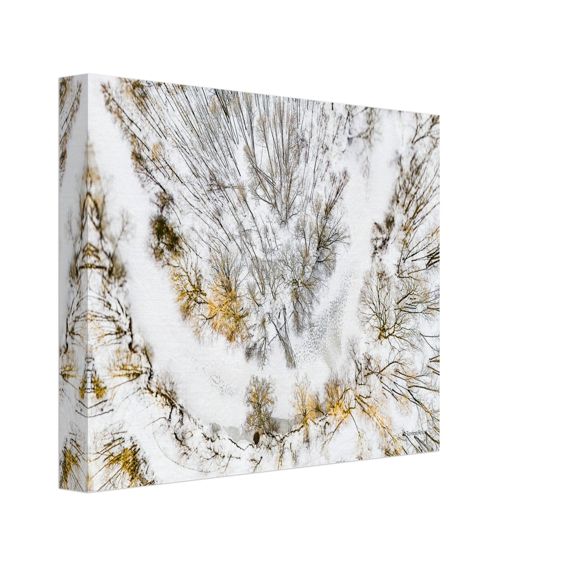 5cfb92f3-7d6b-418a-ae94-f7bb0f01c516