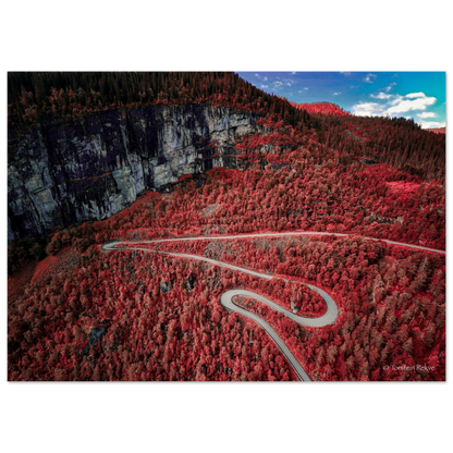 62bc6c3a-0ab5-4bd5-bfcf-0050aead5e1b