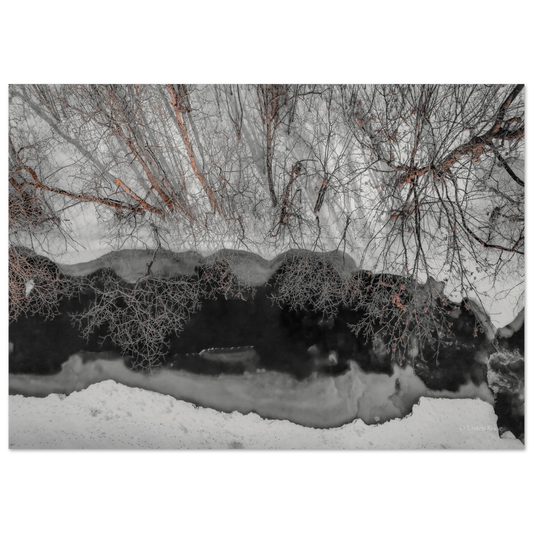 62f04a34-9722-45f4-90a3-a80a1dc1f2d4