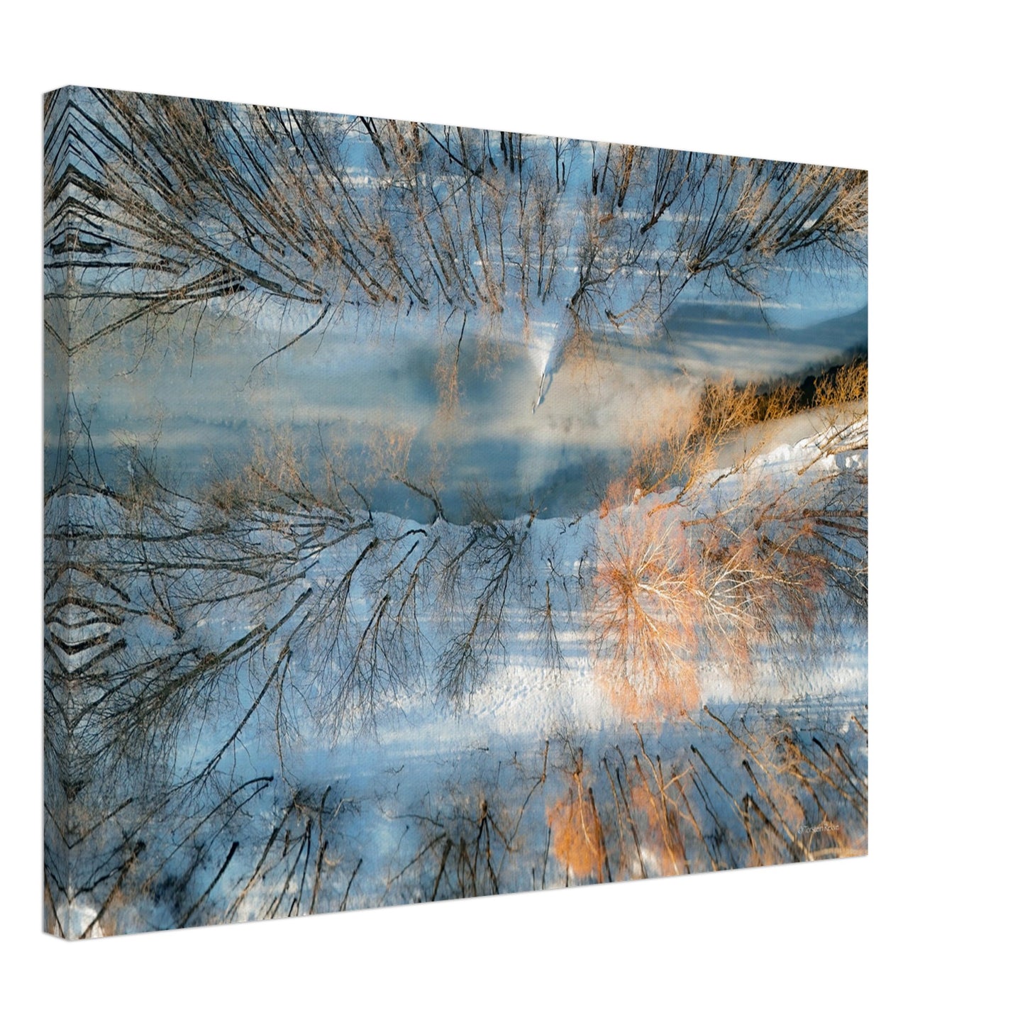 667f27c8-5547-4d9d-bc5c-aa75364f7469