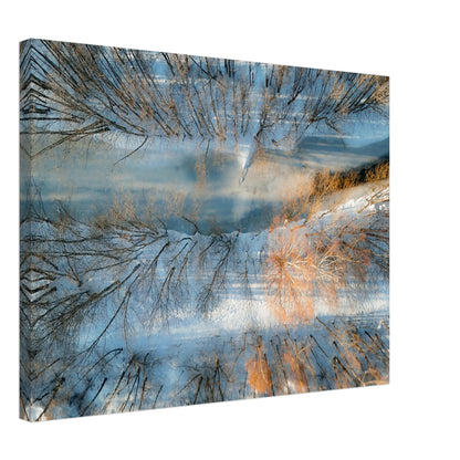 667f27c8-5547-4d9d-bc5c-aa75364f7469