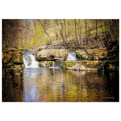 6750f375-c203-436a-b705-557895c5f7da