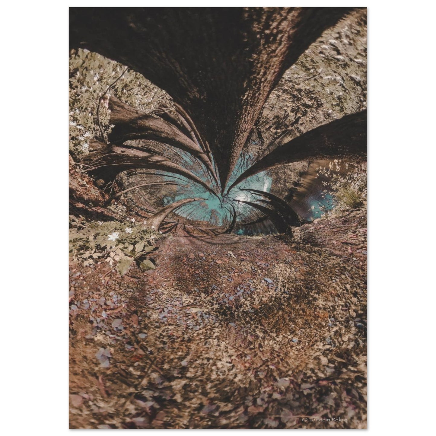 67ff3764-1d6b-43ba-8126-a3f1f7b223a1